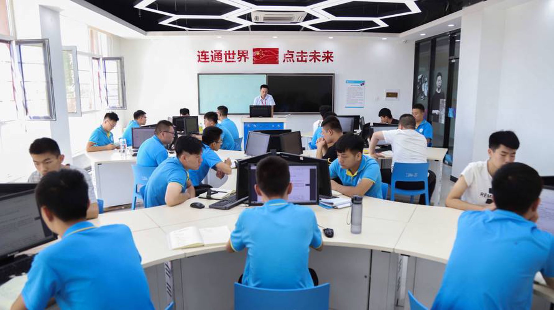 双根叶科技