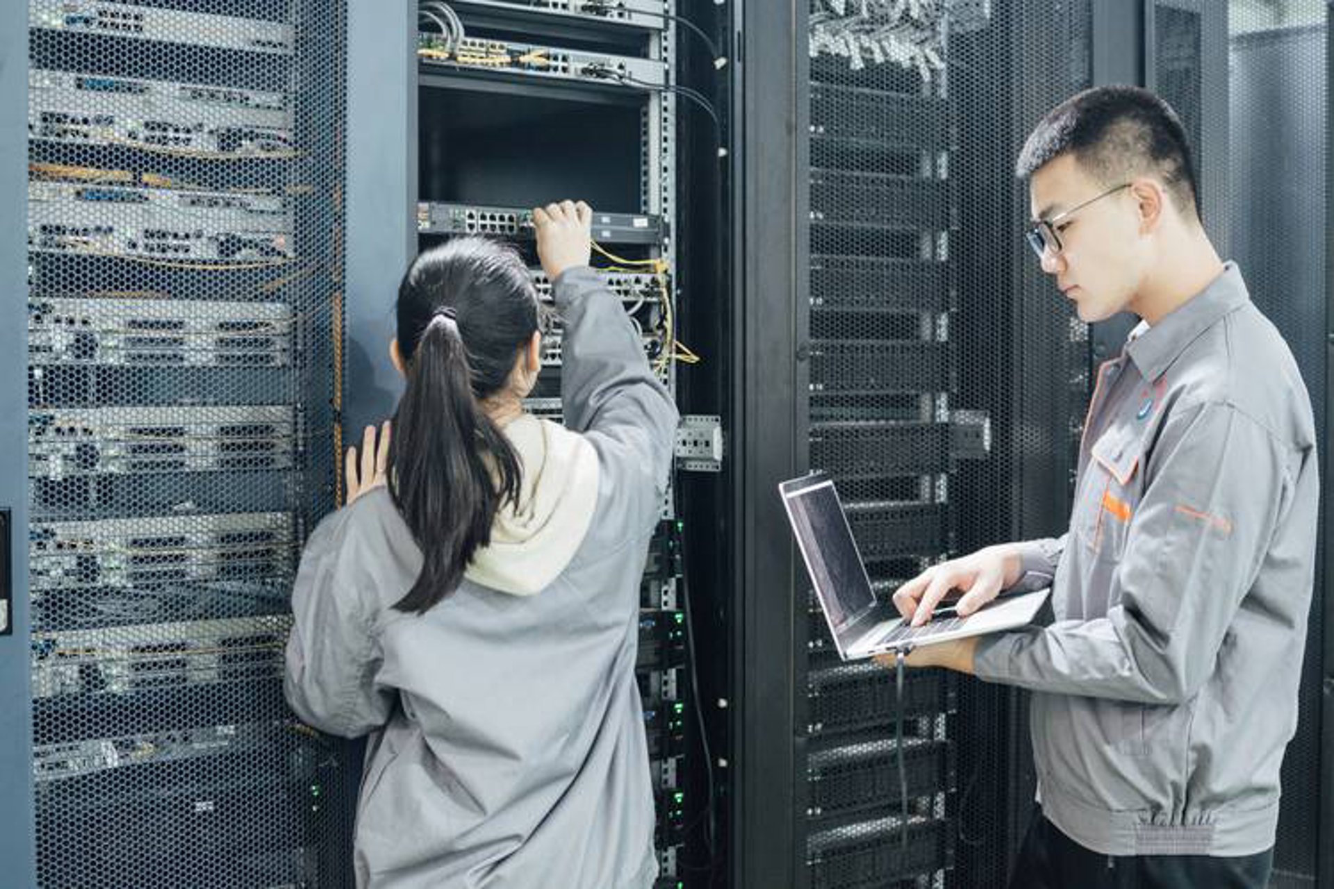 双根叶科技